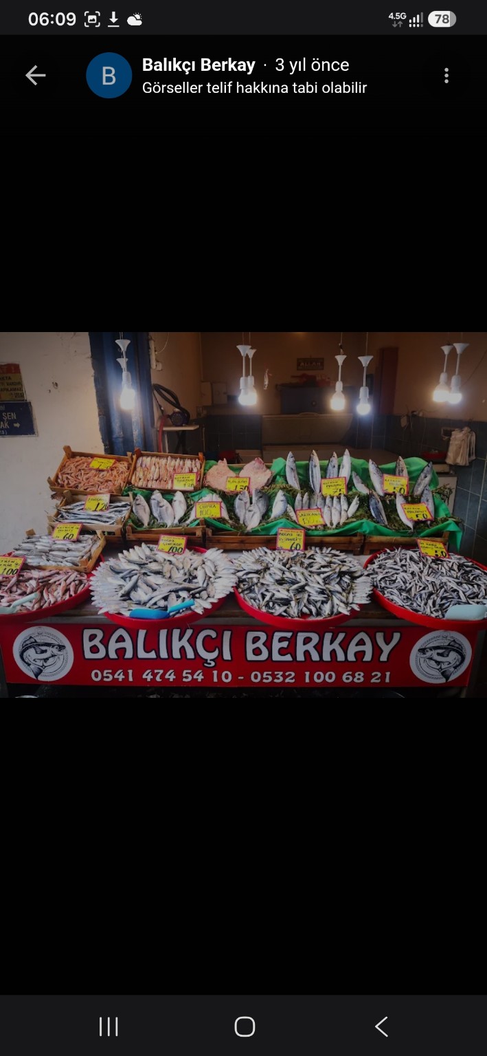 Balıkçı Berkay balık tezgâhı